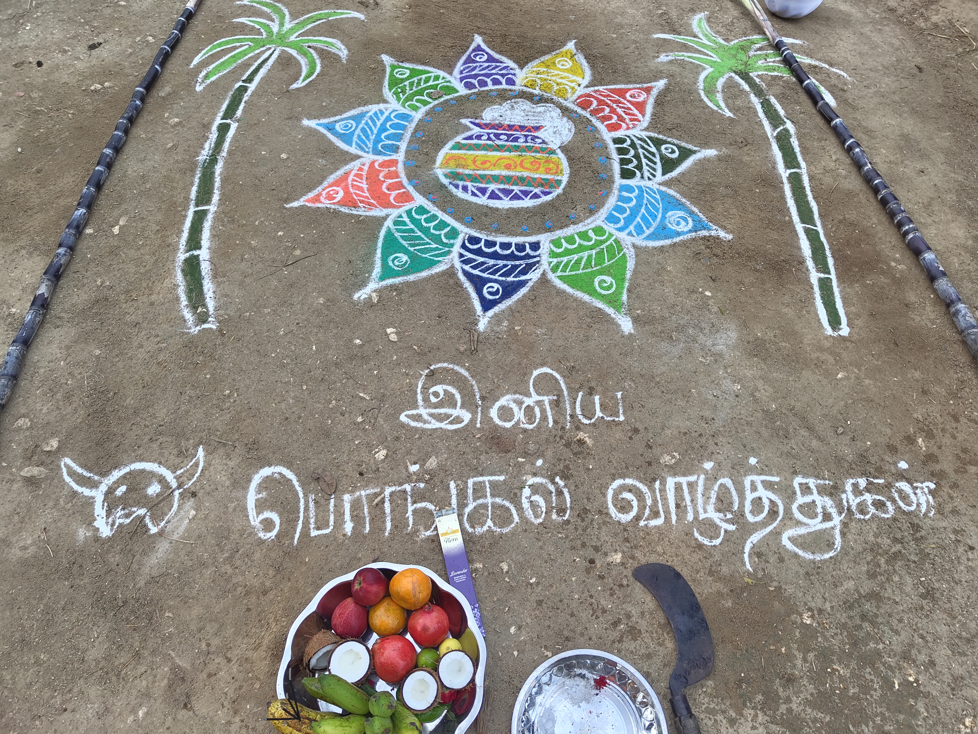 Pongal celebration